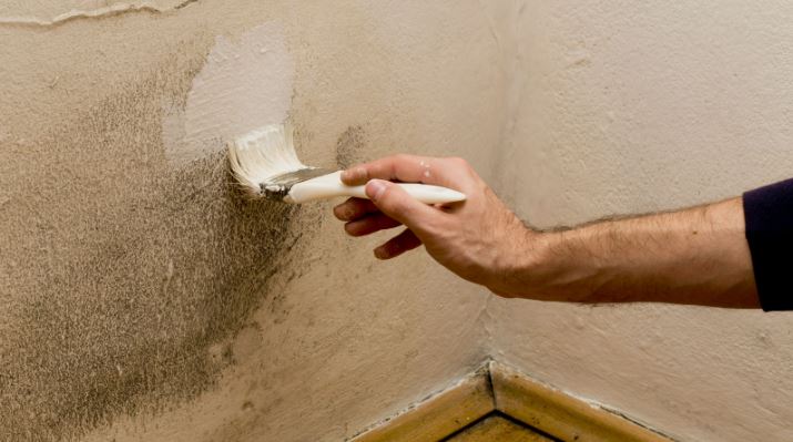 black mould on walls